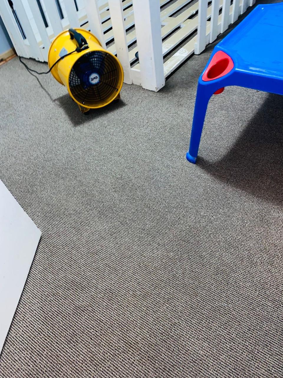 Carpet & Upholstery Cleaning